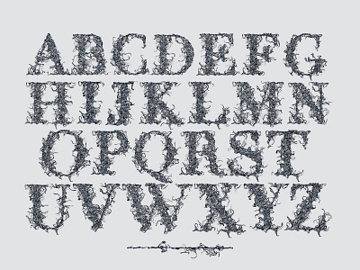 Demogorgon custom type experimental typeface font lettering serif