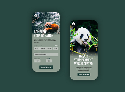 DailyUI .002 // WWF Donation Page 002 app challenge concept dailyui dailyuichallenge design donation mobile payment ui ux