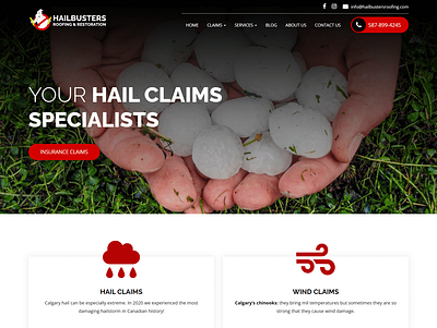 Hailbusters Roofing and Restoration branding graphic design logo ui