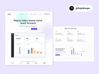 Nepsy Website Design MockUp