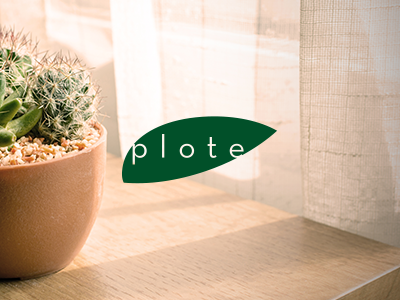 Plote app branding logo visual identity