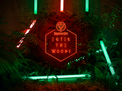 Enter The Woods art direction branding custom type display type forest graphic design logo monogram neon typography