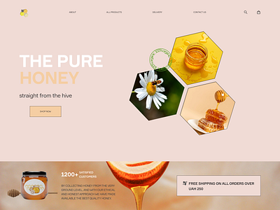 Honey website design design graphic design illustration logo ui