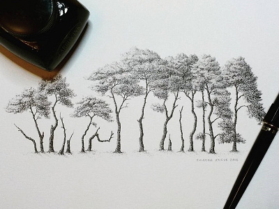 Row of Scotts Pine Trees art drawing fine art fountain pen illustration ink leaves pen pen and ink scots pine sketch tree