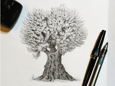 Olive Tree art drawing fine art fountain pen illustration ink leaves olive tree pen pen and ink sketch tree