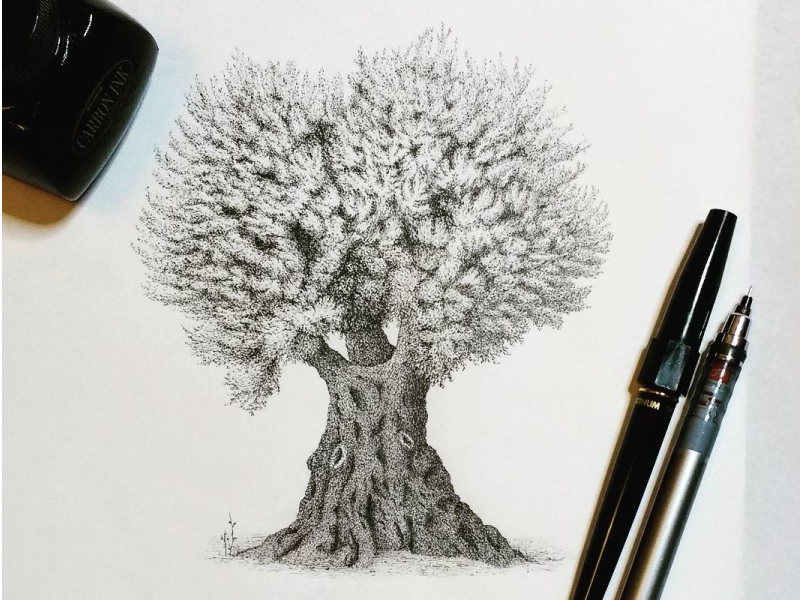 Olive Tree by Rhianna Reeve on Dribbble