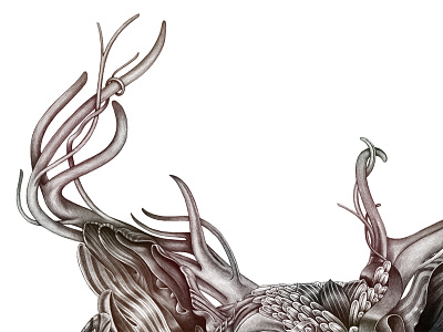 Oh Deer | Antlers animals deer digital illustration illustration random surreal