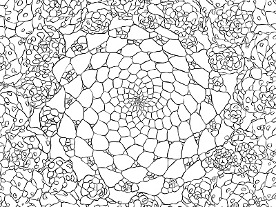 sssssucculents | Coloring book for adults advanced coloring coloring book fun illustration plantlife succulents timber press