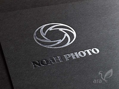 Photography logo branding design flat lettering logo type typography vector