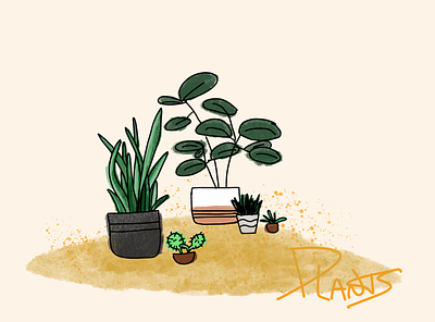 Plants illustration procreate