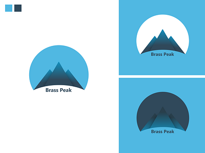 Brass Peaks: Daily Logo Challenge Day 8 branding dailylogochallenge design logo practice