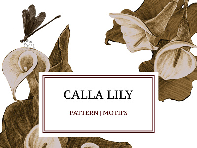 Calla Lily