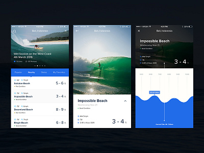 Surfing Report app app forcasting ios surfing ui ux