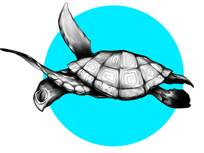 Turtle blue branding graphic design illustration logo turtle tattoo