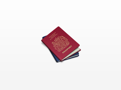 Passports icon passport