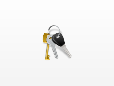 Keys icon keychain keys