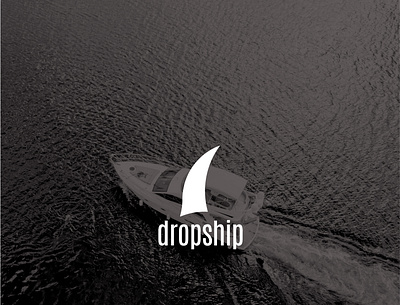 Dropship Logo branding graphic design identity logo