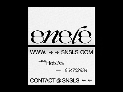 SNSLS - Business Card