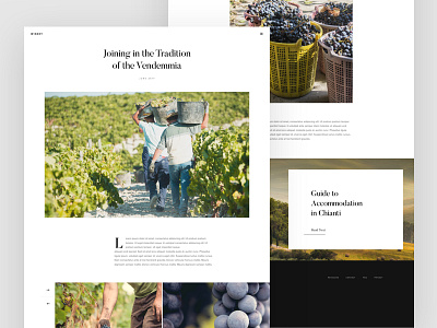 Winery Article Page article daily ui journal layout minimalist typography ui ux website wine winery