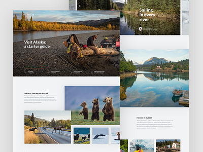 Traveler Home Page alaska booking grid home layout magazine nature travel typography ui ux website