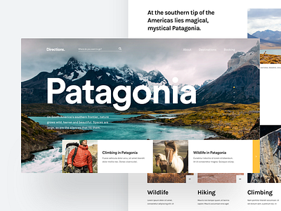 Directions - Home Page 🗺 complexion reduction design flat minimal patagonia travel type typography ui ux web
