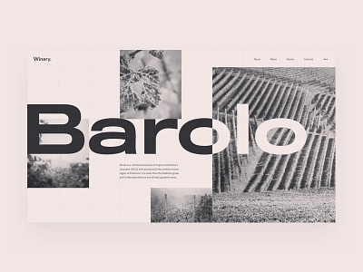 Winery Design Concept block layout grid system header hero minimal process travel typography ui web design webflow wine winery