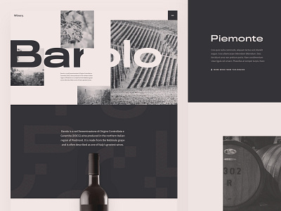 Winery - Home Design block layout grid layout home page texture typography ui ux user interface web design wine design winery