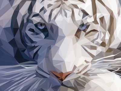 Lowpoly White Tiger 2d animal art geometric lowpoly polygons white tiger