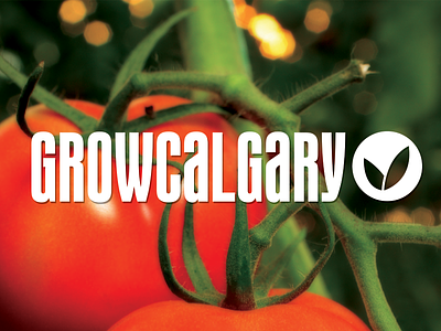 Grow Calgary Branding calgary grow calgary growcalgary yyc