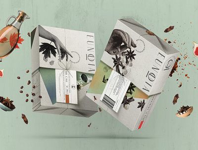 Eunoia - Packaging Design & Brand Identity branding concept design granola packaging graphic design health food packaging illustration logo packaging design