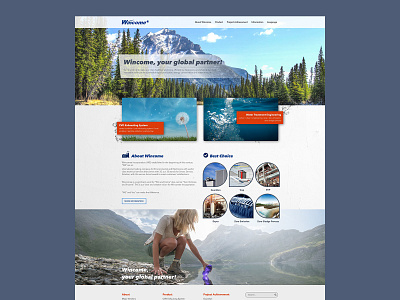 Wincome Website design ui web