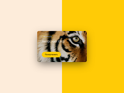Tiger animal card tiger