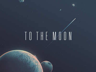 To the moon!┗(°0°)┛