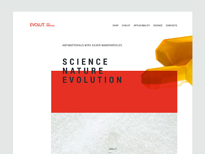 Evolut soap