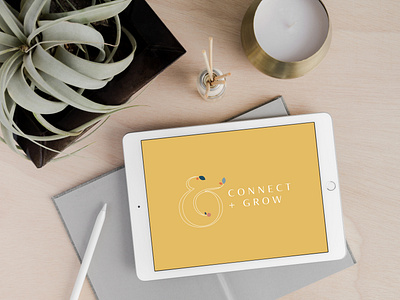 Connect & Grow brand identity design