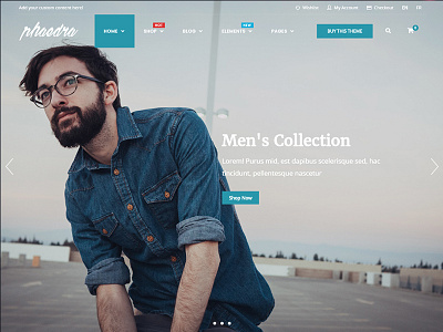 Phaedra - E-Commerce WordPress Theme