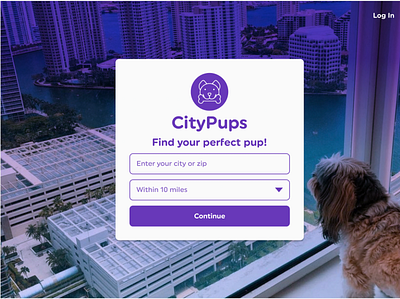 CityPups Landing Page branding city design dog nyc ui