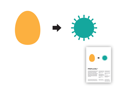 PFC (rejected) egg helvetica info poster white