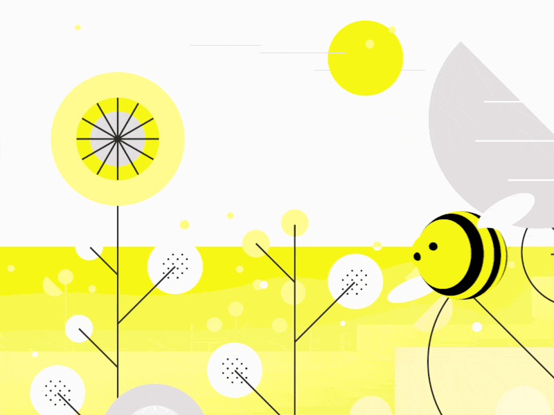 Hello Bee 2d animation bee graphic design illustration loop