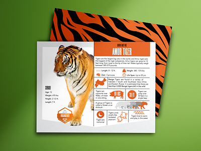 Quick Fact Zoo Cards animal branding design fun graphic design illustration logo zoo