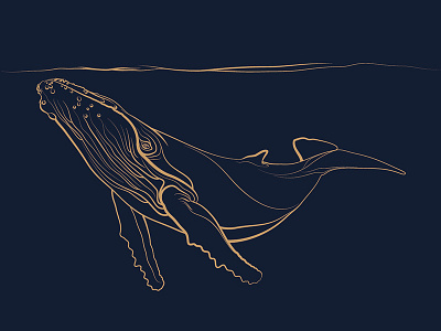 Blue whale design design illustrator leather vector whale