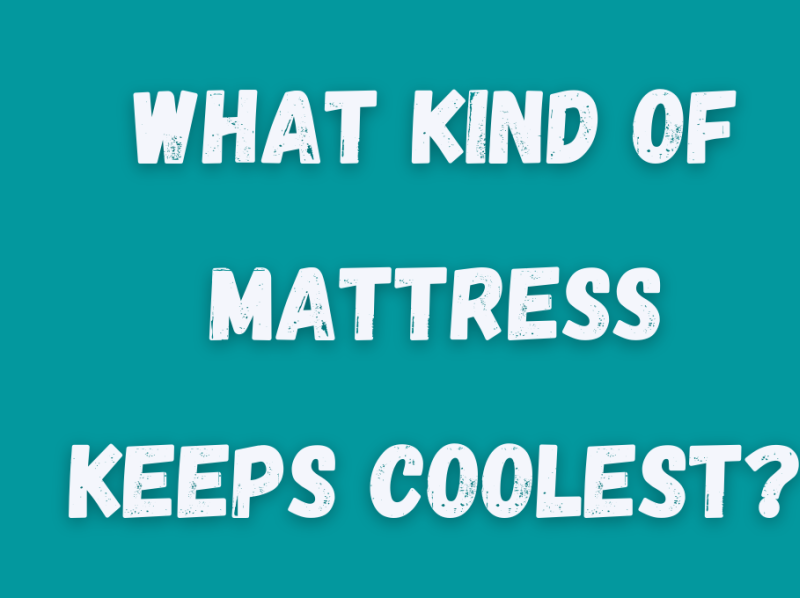What Kind of Mattress Keeps Coolest? by Muntaha Chouhan on Dribbble