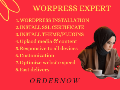 build a professional business or responsive WordPress website