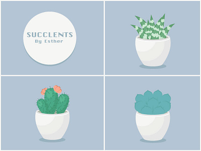 Day04-Succulents illustrators