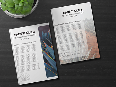 Marketing Flyer Design for Caos Tequila design graphic design