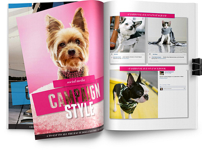 Lola & Penelope's Social Media Guidebook branding design digital collage digital photography graphic design illustration logo mixed media social media ui vector