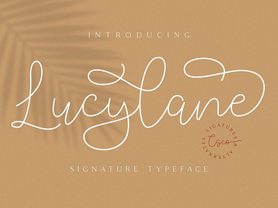 Lucylane Signature Font - Free download branding brush clean creative design elegant europe font lettering logo pastel photography retro sans sans serif typeface typography ux vector vintage