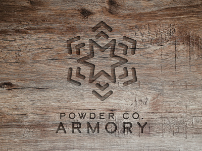 Powder Co logo development