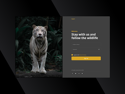 Daily UI 001 | Sign Up