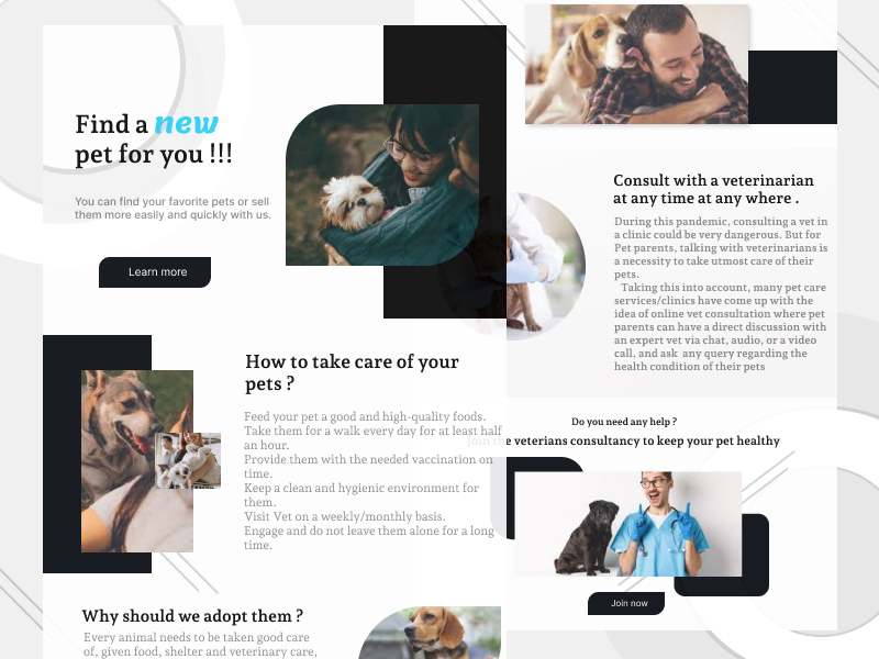 Pet Adoption Landing Page By Shibangi Sutar On Dribbble